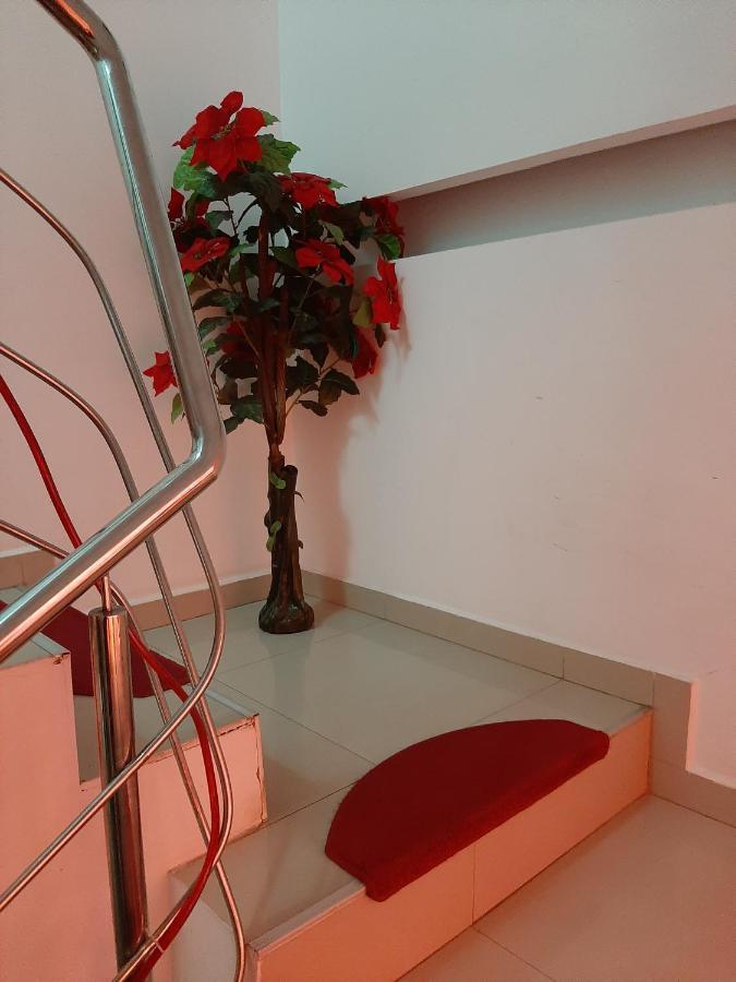 Vila Dolly Otel Buşteni Dış mekan fotoğraf