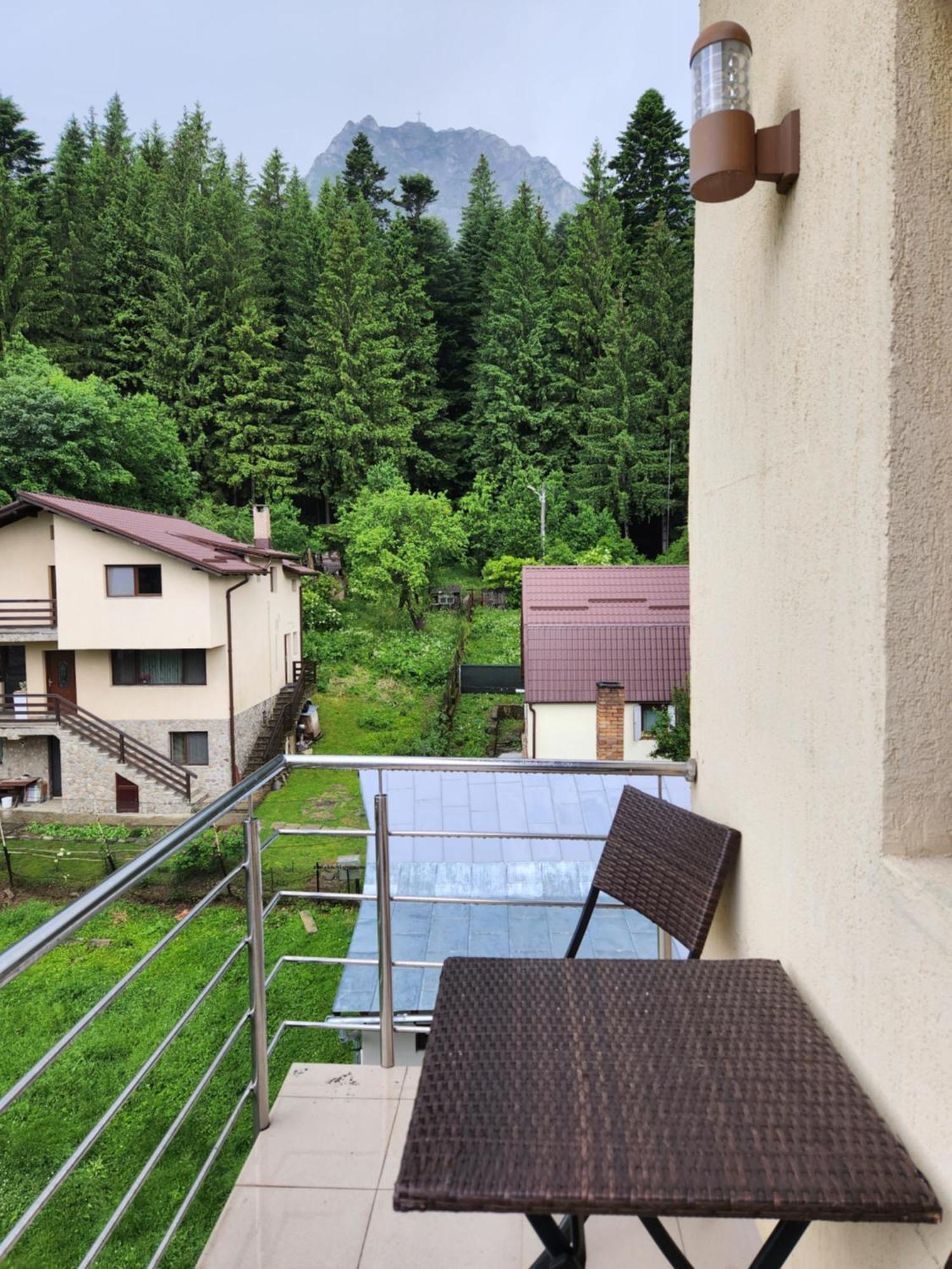Vila Dolly Otel Buşteni Dış mekan fotoğraf
